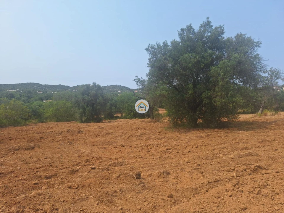 Terreno para Venda em São Brás de Alportel Foto 11