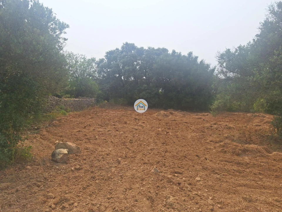 Terreno para Venda em São Brás de Alportel Foto 17