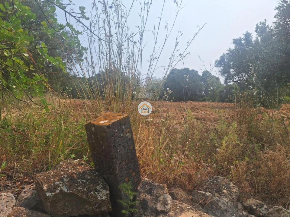Terreno para Venda em São Brás de Alportel Foto 9