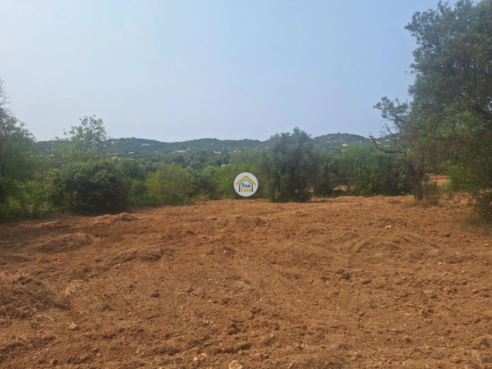 Terreno para Venda em São Brás de Alportel Foto 19