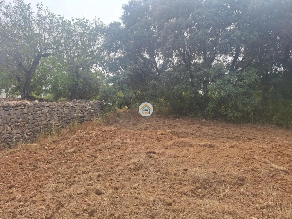 Terreno para Venda em São Brás de Alportel Foto 15
