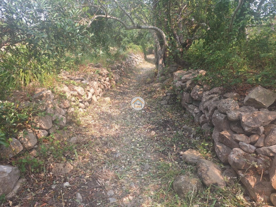 Terreno para Venda em São Brás de Alportel Foto 10