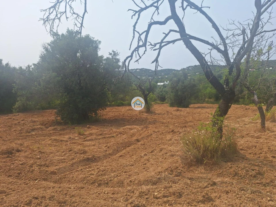 Terreno para Venda em São Brás de Alportel Foto 3