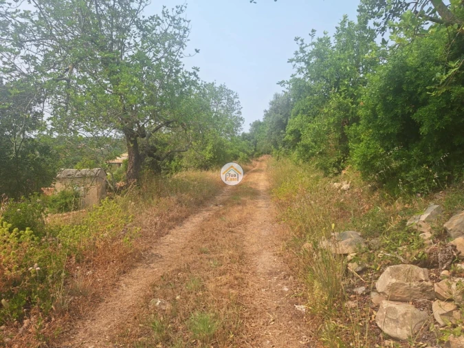 Terreno para Venda em São Brás de Alportel Foto 7
