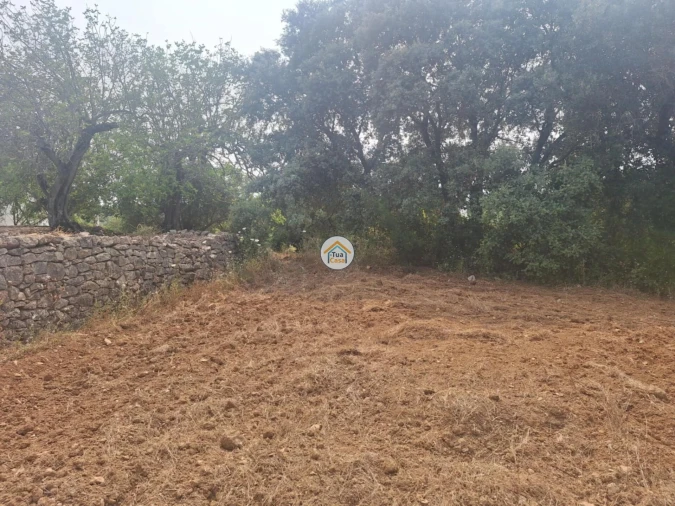 Terreno para Venda em São Brás de Alportel Foto 15