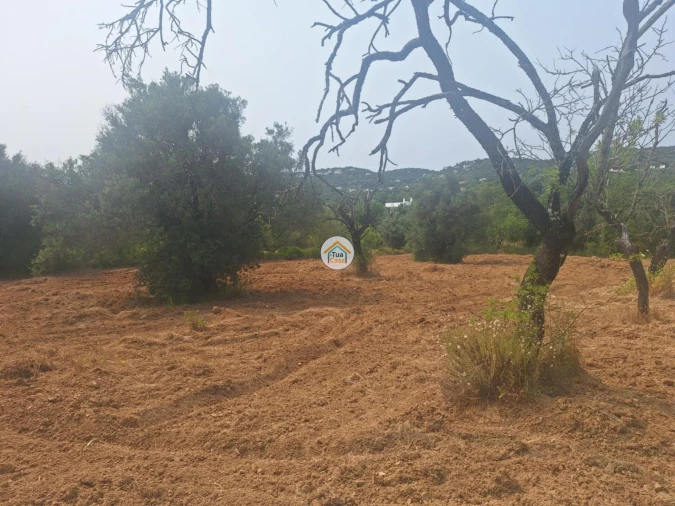 Terreno para Venda em São Brás de Alportel Foto 3