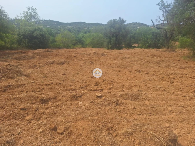 Terreno para Venda em São Brás de Alportel Foto 8