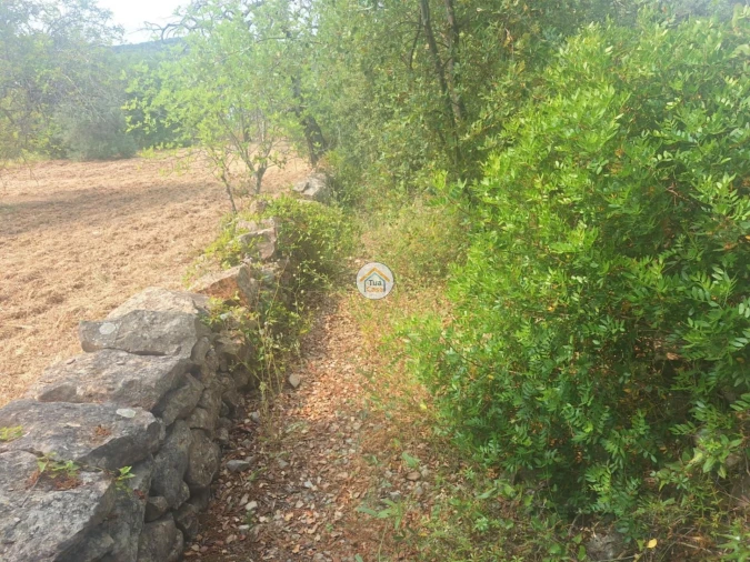 Terreno para Venda em São Brás de Alportel Foto 4