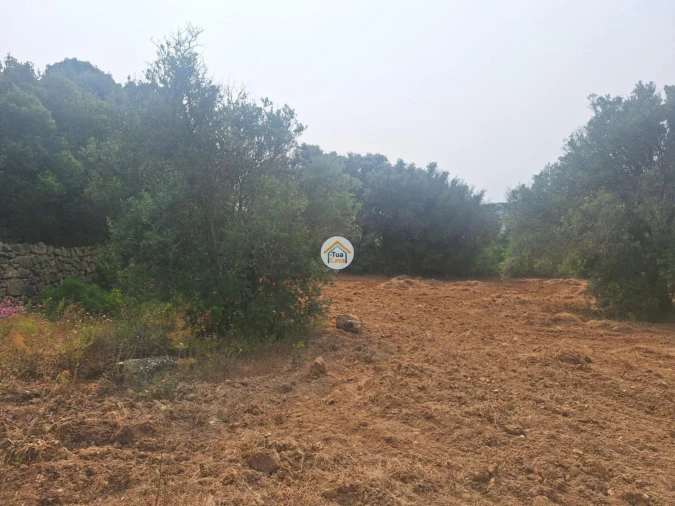 Terreno para Venda em São Brás de Alportel Foto 20