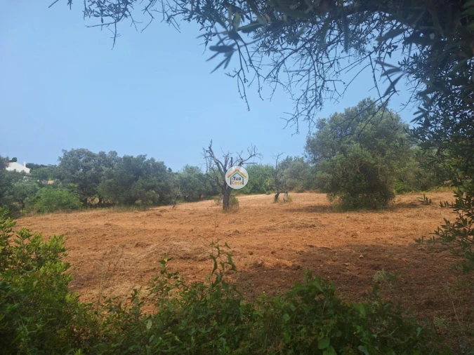 Terreno para Venda em São Brás de Alportel Foto 13