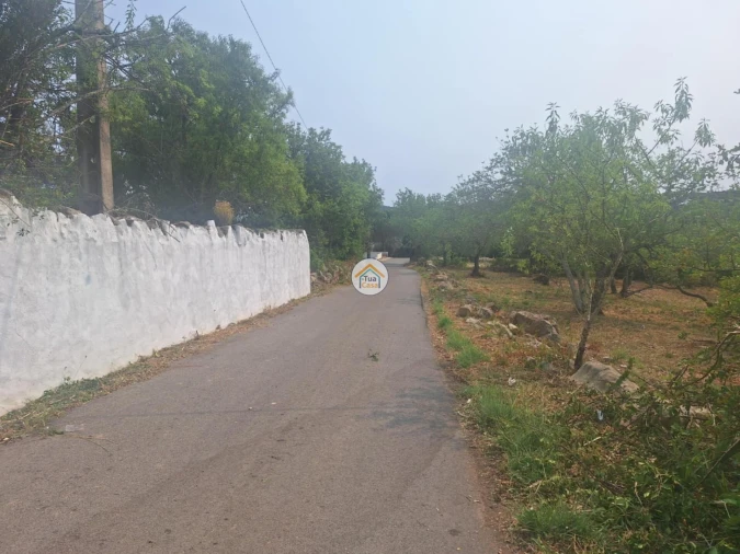 Terreno para Venda em São Brás de Alportel Foto 16