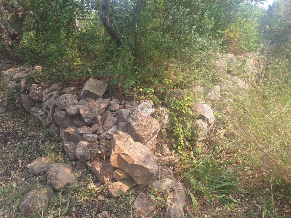 Terreno para Venda em São Brás de Alportel Foto 6