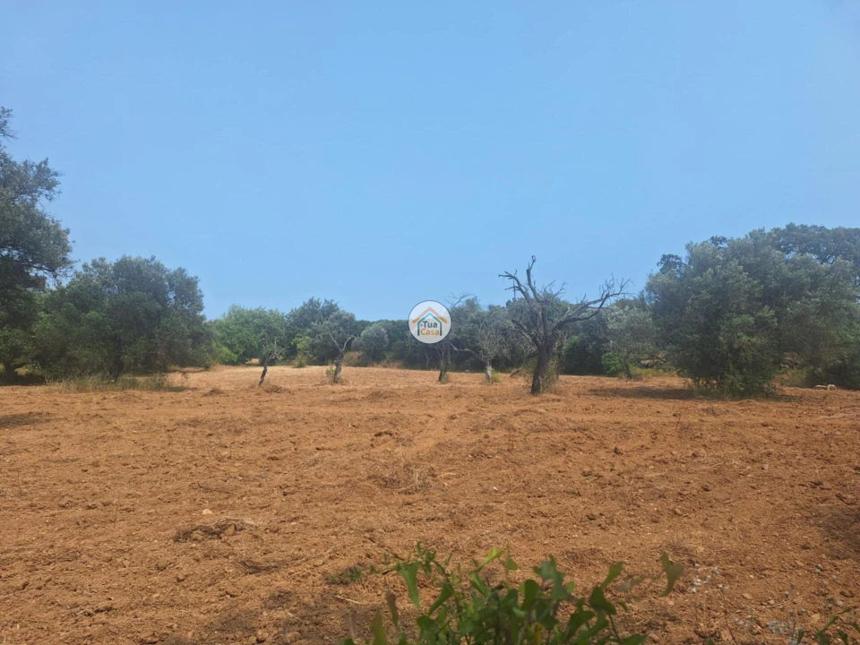 Terreno para Venda em São Brás de Alportel Foto 2
