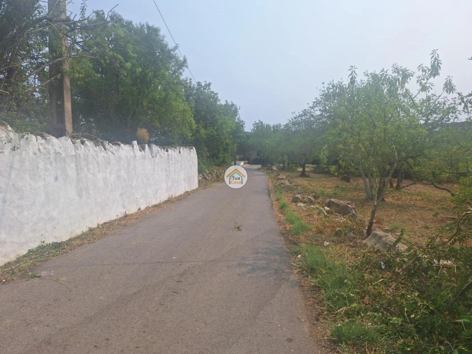 Terreno para Venda em São Brás de Alportel Foto 16