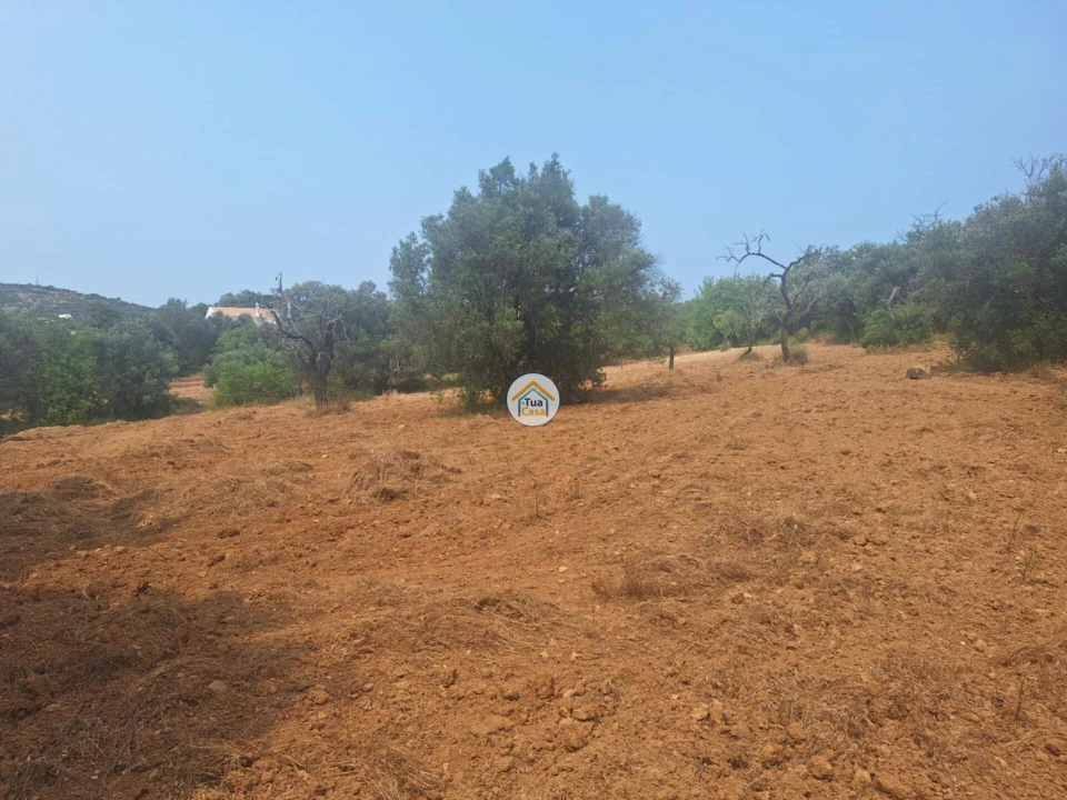 Terreno para Venda em São Brás de Alportel Foto 1