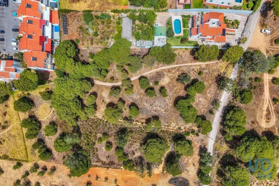 Terreno para Venda em Montenegro Foto 1