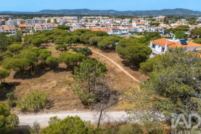 Terreno para Venda em Montenegro