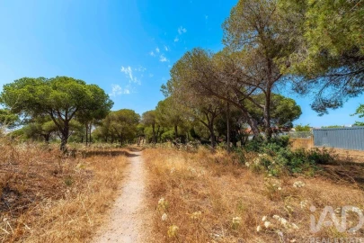 Terreno para Venda em Montenegro