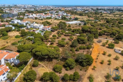 Terreno para Venda em Montenegro