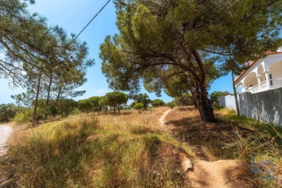 Terreno para Venda em Montenegro