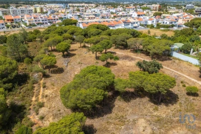 Terreno para Venda em Montenegro