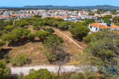 Terreno para Venda em Montenegro