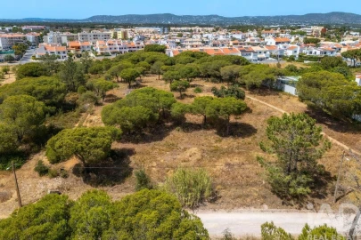 Terreno para Venda em Montenegro