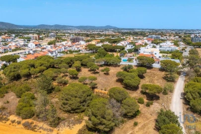 Terreno para Venda em Montenegro