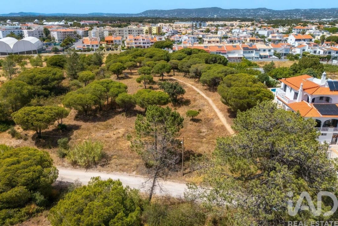 Terreno para Venda em Montenegro Foto 18