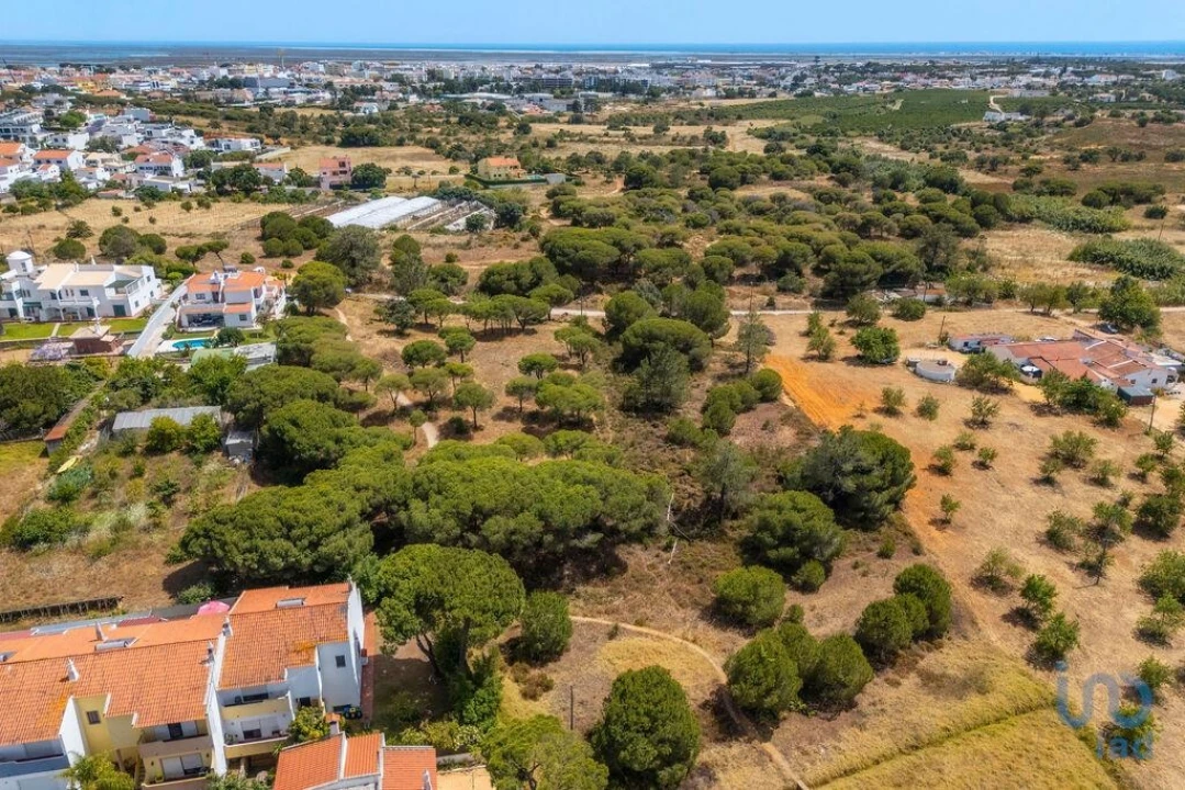 Terreno para Venda em Montenegro Foto 4