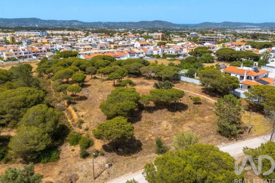 Terreno para Venda em Montenegro Foto 15
