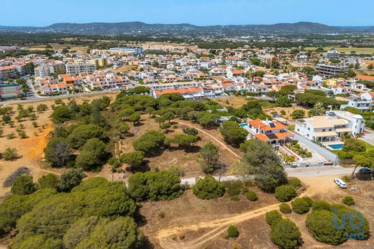 Terreno para Venda em Montenegro Foto 11