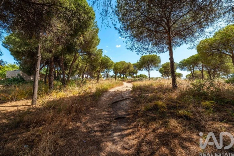 Terreno para Venda em Montenegro Foto 26
