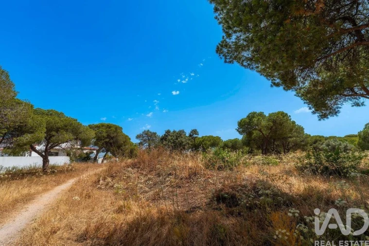Terreno para Venda em Montenegro Foto 25