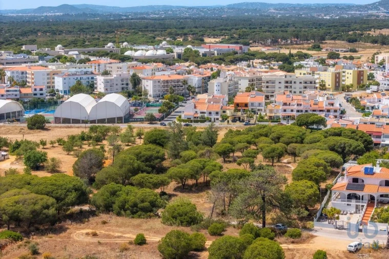 Terreno para Venda em Montenegro Foto 13