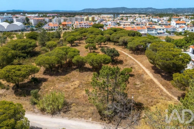 Terreno para Venda em Montenegro Foto 17