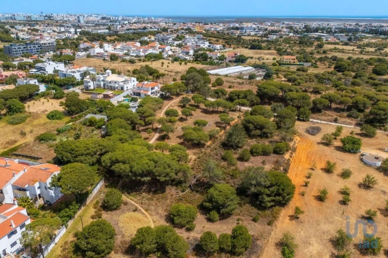 Terreno para Venda em Montenegro Foto 7