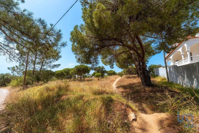 Terreno para Venda em Montenegro Foto 3