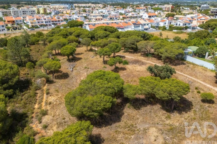 Terreno para Venda em Montenegro Foto 19