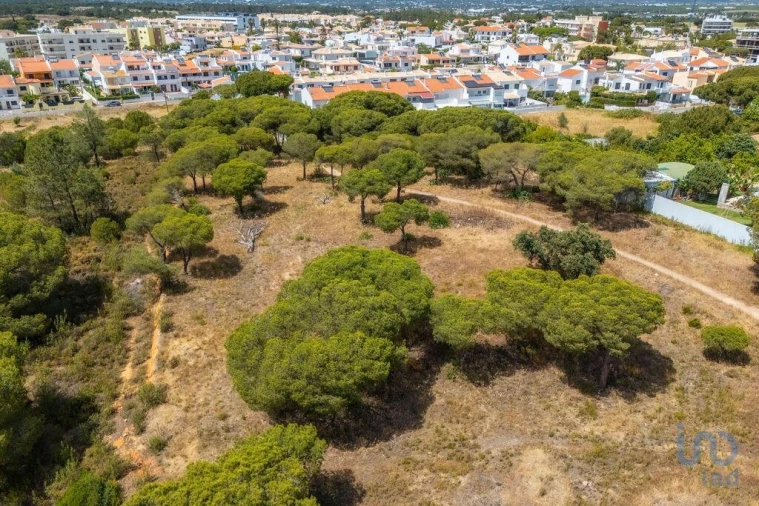 Terreno para Venda em Montenegro Foto 8