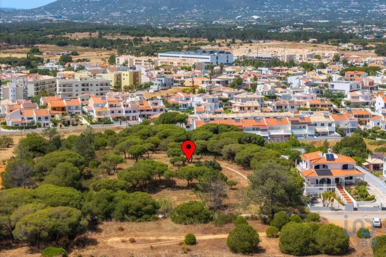 Terreno para Venda em Montenegro Foto 12