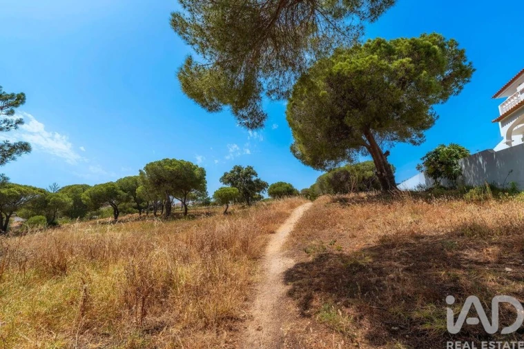 Terreno para Venda em Montenegro Foto 21