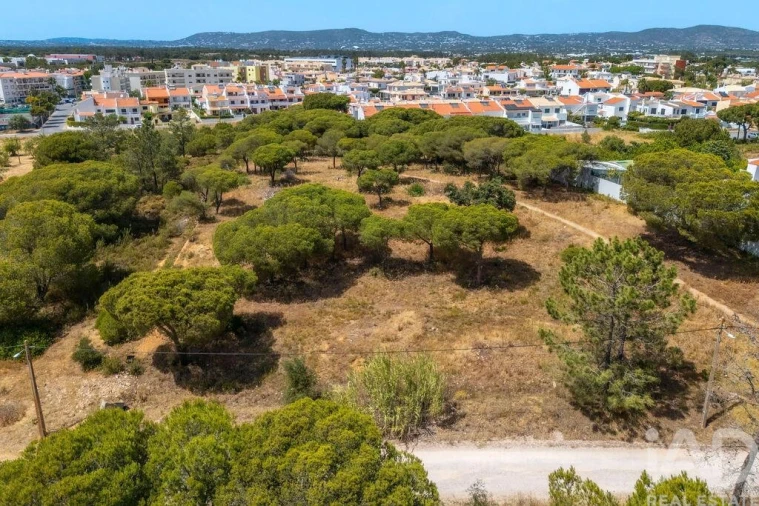 Terreno para Venda em Montenegro Foto 16