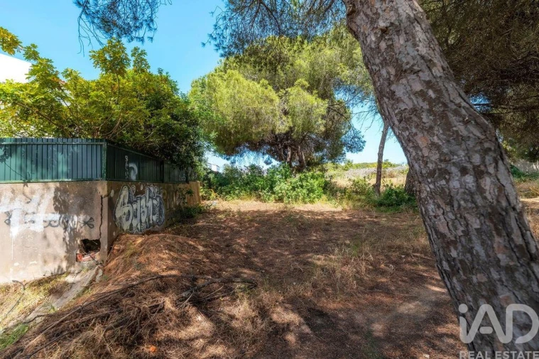 Terreno para Venda em Montenegro Foto 27