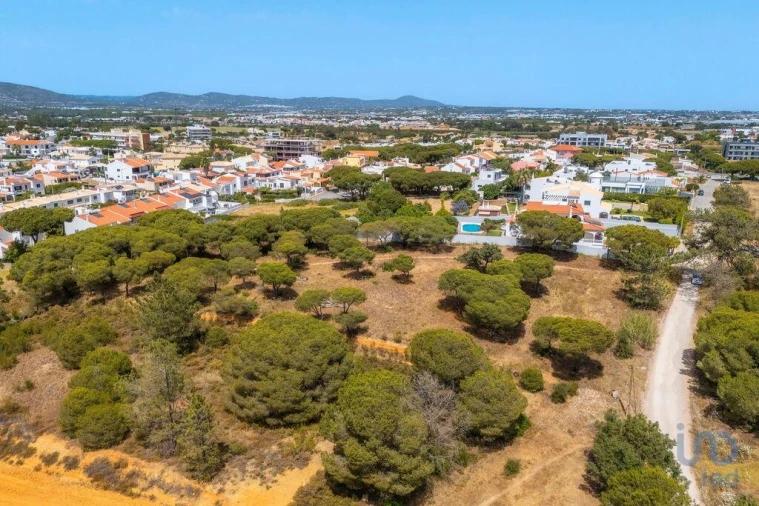 Terreno para Venda em Montenegro Foto 14
