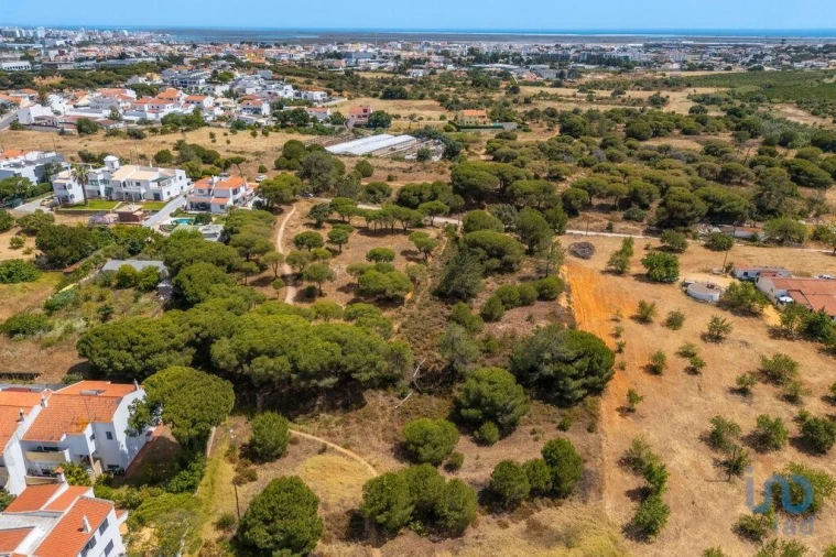 Terreno para Venda em Montenegro Foto 6