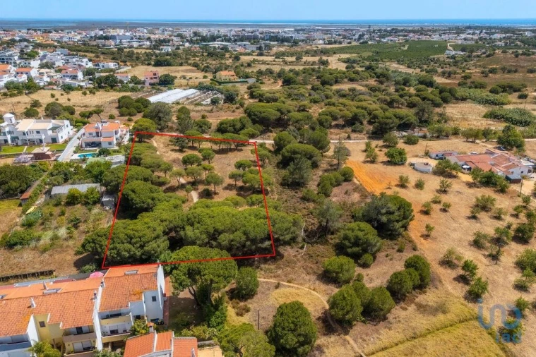 Terreno para Venda em Montenegro Foto 9