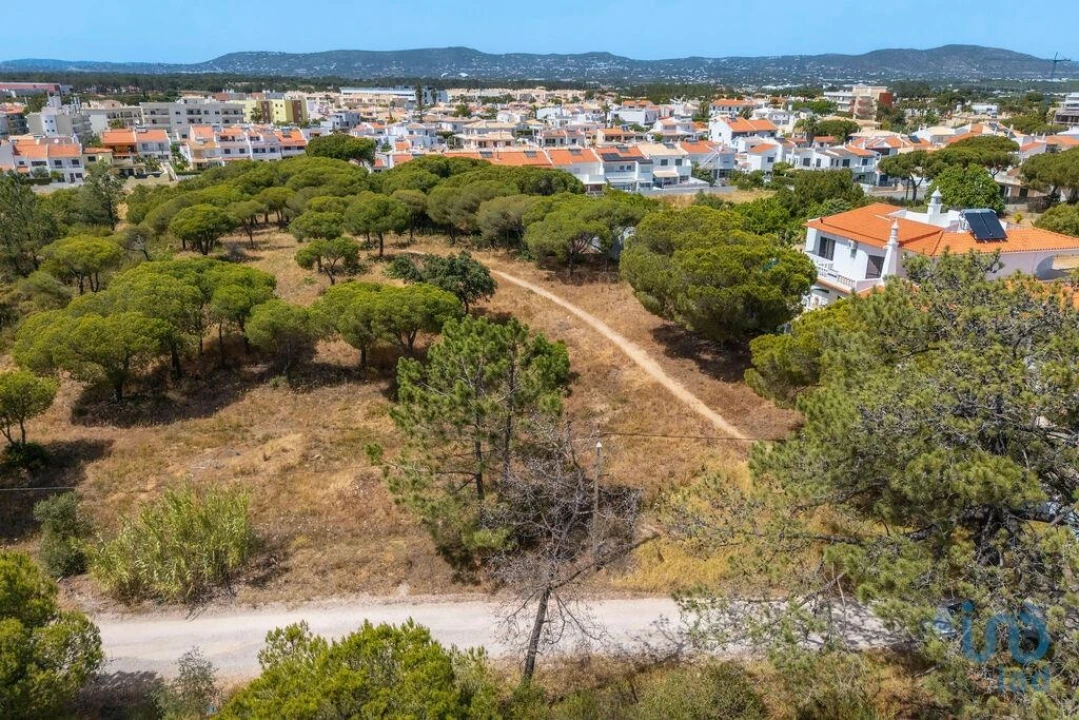 Terreno para Venda em Montenegro Foto 2