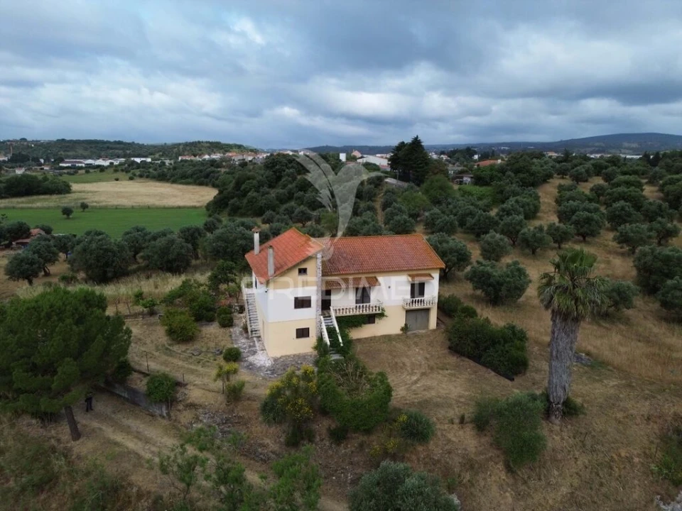 Quinta T6 para Venda em Alcanena e Vila Moreira Foto 4