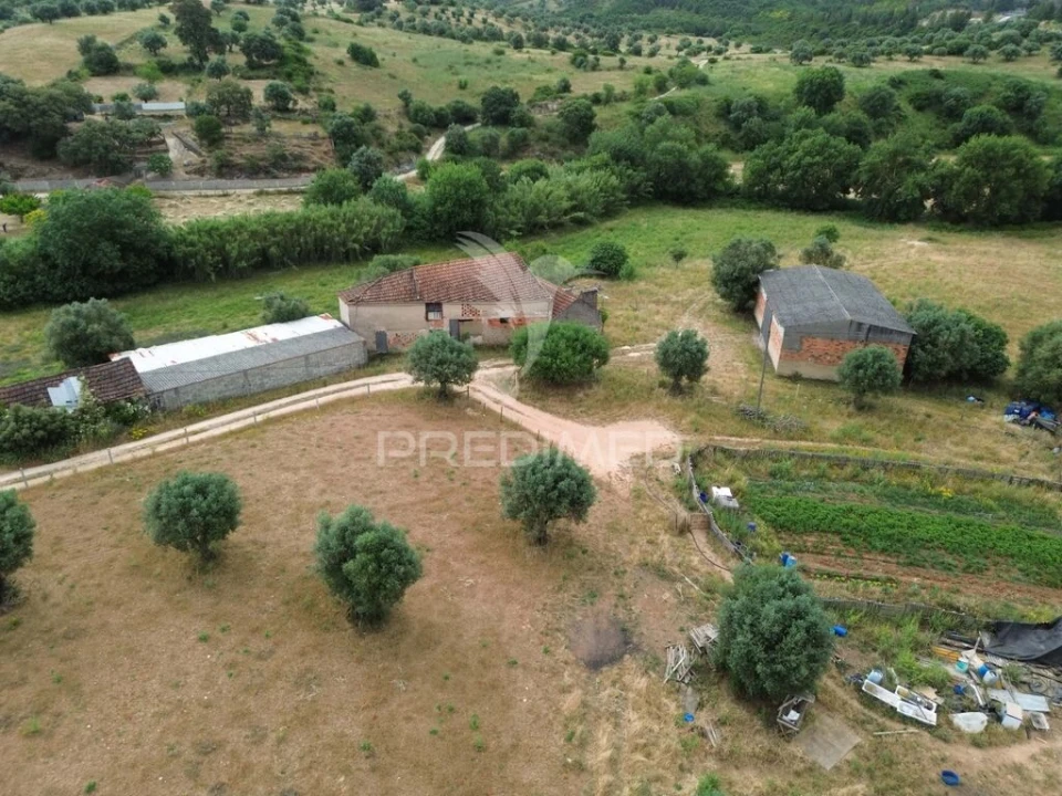 Quinta T6 para Venda em Alcanena e Vila Moreira Foto 11